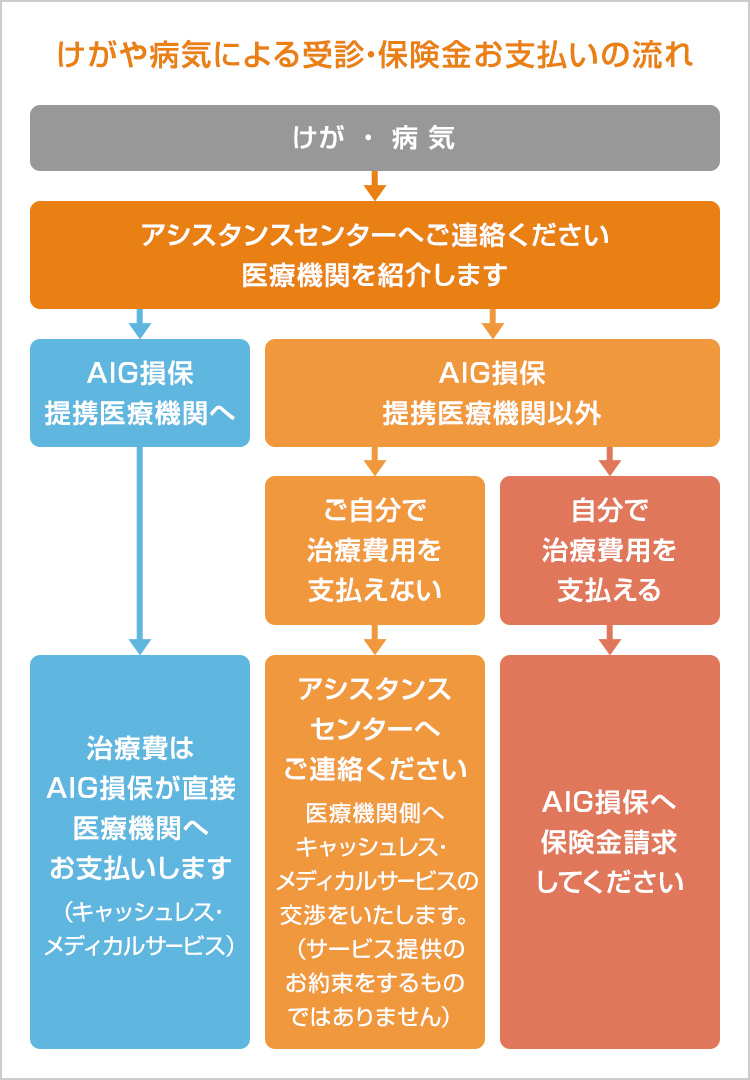 AIG損保の海外留学生保険・ワーホリの保険｜ｉ保険