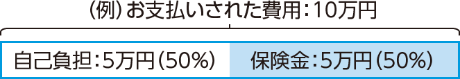 お支払いされた費用：10万円